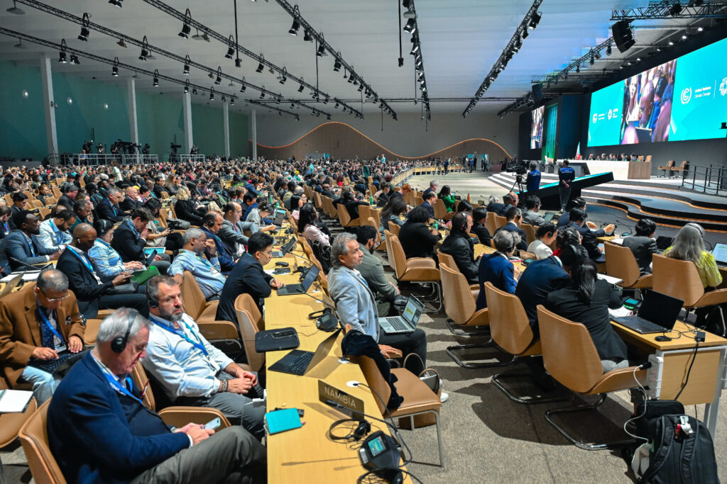 Delegates from the Global South and other countries impacted by climate change shared ideas and plans to alleviate and reverse the impact of pollution and global warming. (Photo Credit: UN Climate Change)