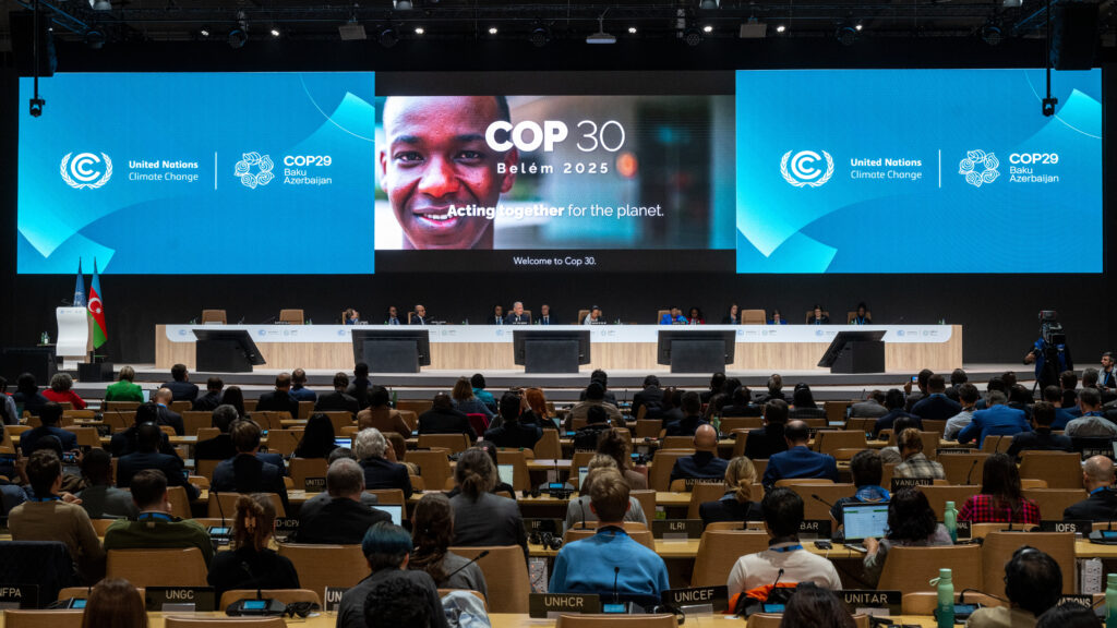 UN countries will meet again at COP30 to continue pushing for environmental protections. (Photo Credit: UN Climate Change)